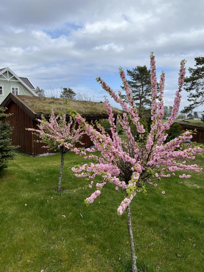 Ny Gardsleilighet I Nevlunghavn